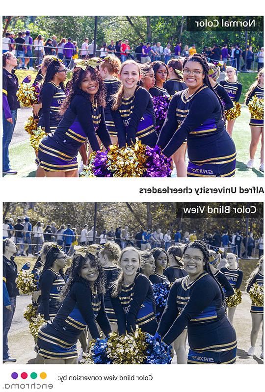 photos of cheerleaders, one as a normal person would see, the other as a person with color blindness would see